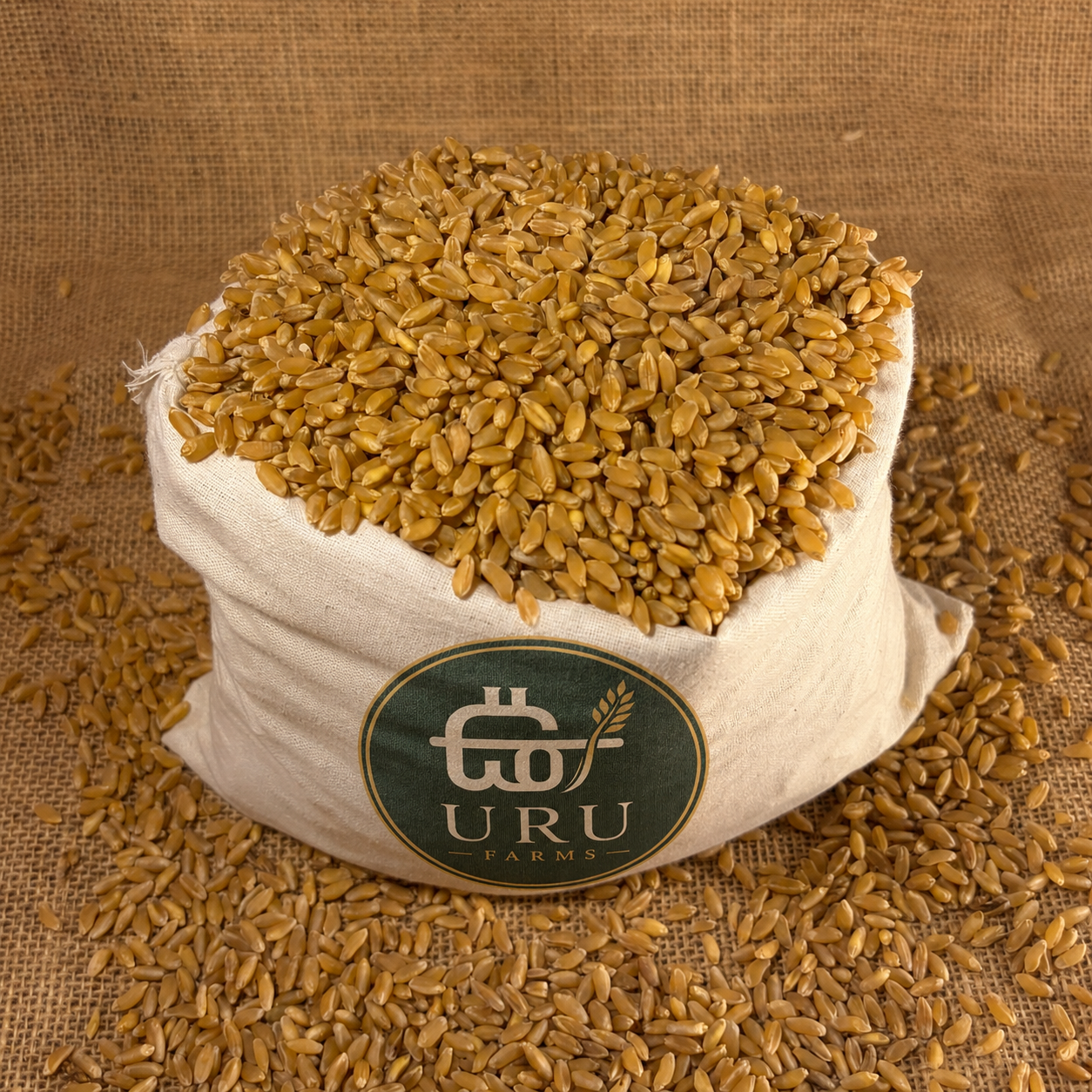 Bansi Wheat